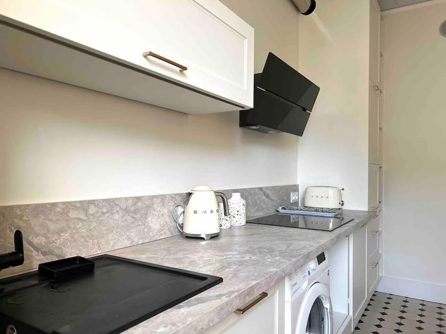 Appartement Entierement Renove Proche Gare Γκρενόμπλ Εξωτερικό φωτογραφία